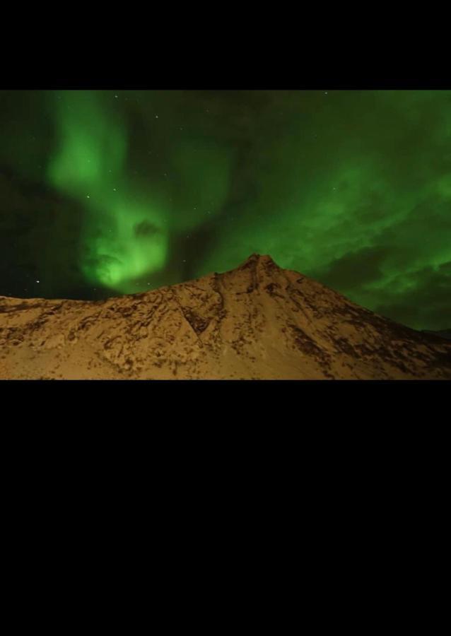 Senja Villa Gryllefjord 外观 照片